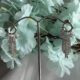Dazzling cascading crystal studded silver toned earrings