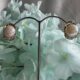 Classic golden pearl beauty earrings